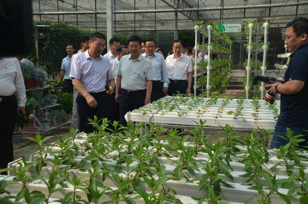 科技助農(nóng)，播撒光的種子  精準(zhǔn)扶貧，助力鄉(xiāng)村振興